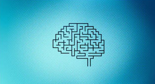 How company culture drives AI strategy success — Fast Company